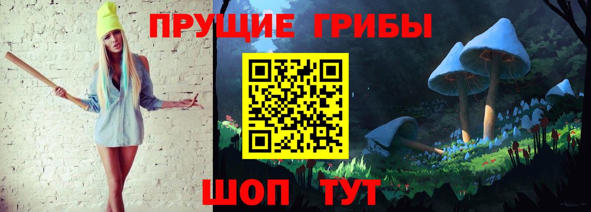 Галлюциногенные грибы Psilocybine cubensis Новочебоксарск